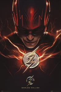 Grupo Erik Poster DC Comics The Flash Batcave 61x91,5cm