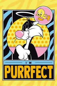 ABYStyle GBEye Looney Tunes Tweety and Sylveste Poster 61x91,5cm