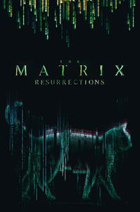 ABYStyle The Matrix Cat Poster 61x91,5cm