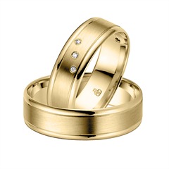 Rauschmayer Trouwringen Geelgoud 6mm
