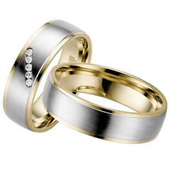 Rauschmayer Trouwringen Wit En Geel Goud 6mm