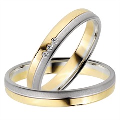 Rauschmayer Trouwringen Geel-Wit Goud 3,5mm