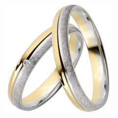 Rauschmayer Trouwringen Geel-Wit Goud 3,5mm