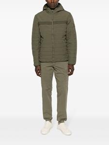 Tommy Hilfiger Jack met capuchon - Groen