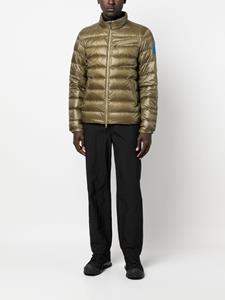 Moncler Gewatteerd jack - Groen