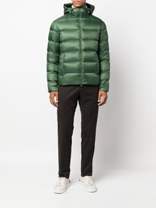 Herno Globe jack met capuchon - Groen