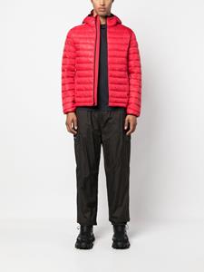 Rossignol Jack met capuchon - Rood