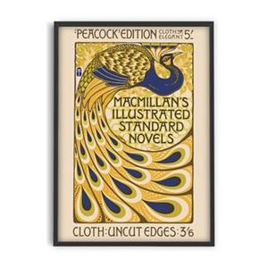 PSTR studio  Peacock - Macmillan's Novels