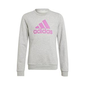 adidas Sweatshirt G BL SWT für Mädchen grau Mädchen 