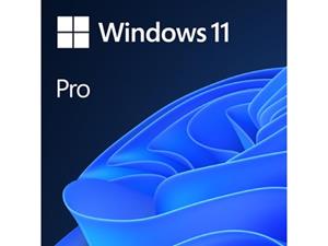Microsoft Windows 11 Pro