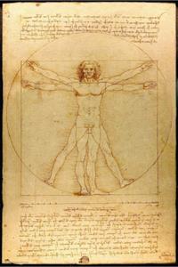 Grupo Erik Poster Vitruvian Man 61x91,5cm