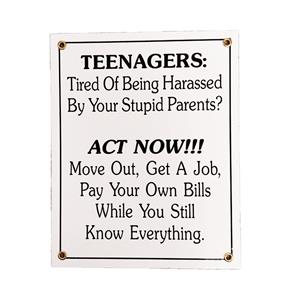 Fiftiesstore Teenagers Emaille Bord
