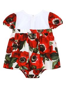 Dolce & Gabbana Kids Katoenen jurk met klaprozenprint - Rood