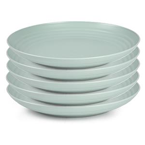 PlasticForte Rond bord/camping bord - 10x - Dia 25 cm - mintgroen - kunststof - onbreekbaar -