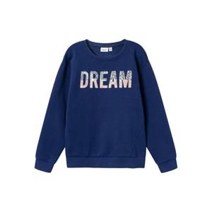 Name It Sweatshirt NKFOTUSSA LS NREG SWEAT BRU