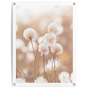 Reinders  Cotton Field - Tuinposter 80x60cm