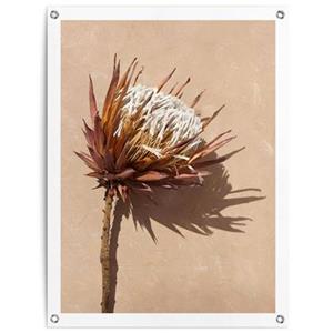 Reinders  Shadow Still - Tuinposter 80x60cm