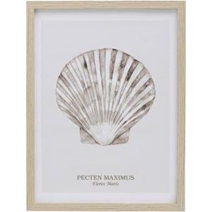 Leen Bakker Poster Schelp Pecten - MDF/glas - 40x30 cm