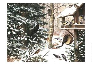 Libre, Uitgeverij Schoolplaat Vogels in de Winter -   (ISBN: 9789492033284)