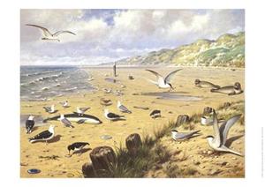Libre, Uitgeverij Schoolplaat Aan het Strand -   (ISBN: 9789492033307)