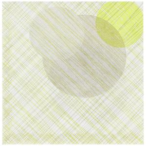 Ro.ial Servet Eclissi; 40x40 cm (BxL); groen; 50 stuk / verpakking