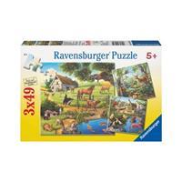 Ravensburger Verlag Ravensburger 09265 - Wald-/Zoo-/Haustiere, Puzzle, 3x49 Teile