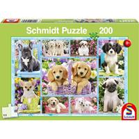 Schmidt Spiele Welpen (Kinderpuzzle)