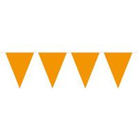 Folat BV Oranje Vlaggenlijn, 10mtr.