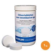 Interline Chlortabletten 200 Gramm