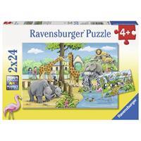 Ravensburger Welkom in de dierentuin 2x24st