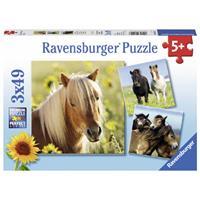 Ravensburger Verlag Ravensburger 080113 - Liebe Pferde, 3x49 Teile, Kinderpuzzle