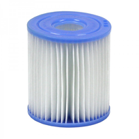 Intex Filter Cartridge H