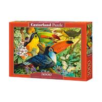 Castorland legpuzzel Interlude 3000 stukjes