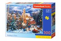 Castorland Sl&aelig;detur til byen (300)