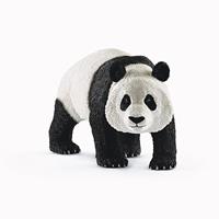 Mannelijke Reuze Panda