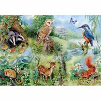 The House of Puzzles Nature Study Puzzel 250 Stukjes XL