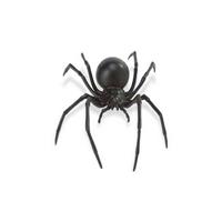 Plastic zwarte weduwe spin