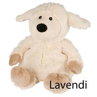Schaap Lavendi Lavendel (1st)