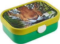 Rostimepal lunchbox campus met bentobakje Animal Planet Tijger