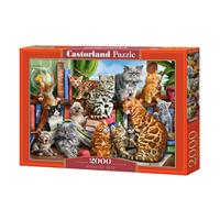 Castorland House of Cats Puzzel (2000 stukjes)