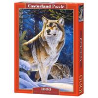 Castorland legpuzzel Sentinel 1000 stukjes