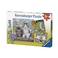 Ravensburger 08046 - Süße Samtpfötchen, Katzen, Katzenkinder, Kitten, Puzzle, Kinderpuzzle, 3x49 Teile