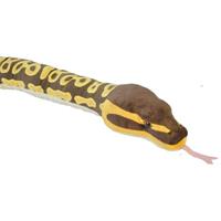 Pluche koningspython slang knuffel 137 cm Multi