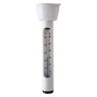 Intex Thermometer