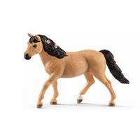 13863 Pony Connemara Vrouwelijk