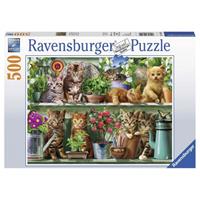 Ravensburger Katzen im Regal, 500 Teile