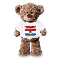 Shoppartners Knuffel teddybeer Geslaagd! wit shirt 24 cm Wit