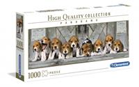 Panorama Hunde Beagles 1000 tlg