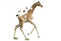 Shape Puzzle Junior Giraffe (Kinderpuzzle)