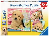Ravensburger Knuffelhondjes Puzzel (3 x 49 stukjes)